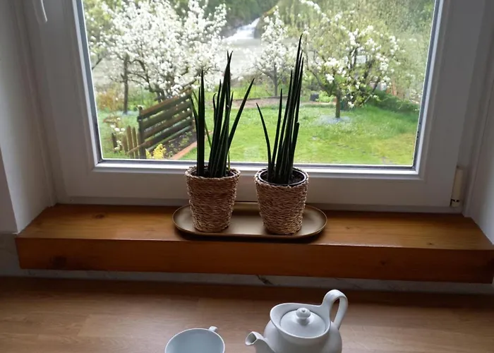 Apartma Aljaz Spodnja Idrija